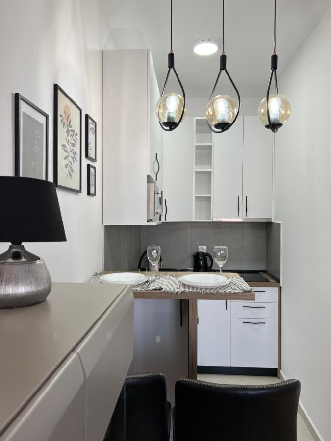 Apartment Charlie Private Parking Нови Сад Екстериор снимка