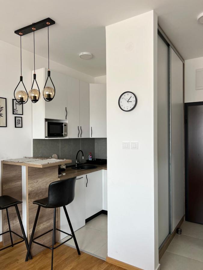 Apartment Charlie Private Parking Нови Сад Екстериор снимка
